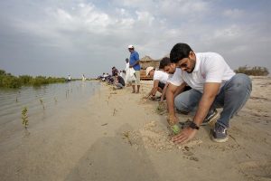 Dulsco Group, a UAE-based solutions provider, plants 300 mangrove trees with 100 team members to support UAE's carbon sequestration project. Each planted 3 trees at Jebel Ali Wildlife Sanctuary; progress can be monitored through EcoMatcher app. UAE aims to plant 100 million mangrove trees by 2030, capturing 115,000 tons of CO2 annually. Dulsco COO highlights importance of preserving natural ecosystem. Dulsco Group offers various solutions to over 3,500 clients., Mangrove, Future-climate.online, mj dastouri, green environment,dubai, saudi, qatar, wetland, oman, riyadh, jeddah, kish, bandar lengeh,بندر لنگه,جدة,سعودية, دستوری