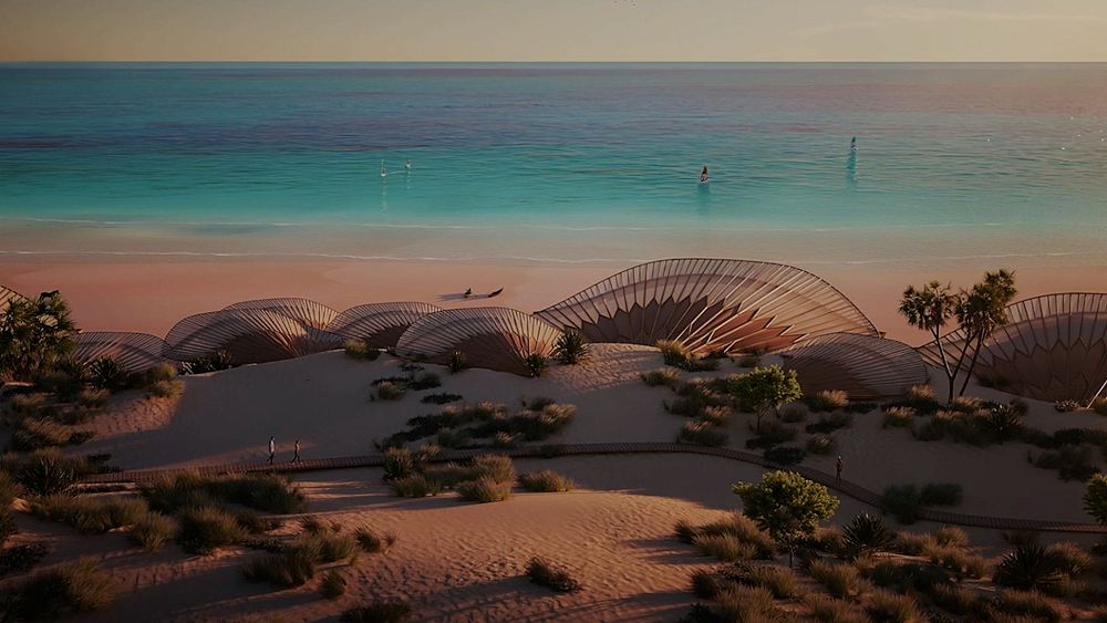 Saudi Arabia is developing a sustainable tourism project called Red Sea Global and Amaala. It offers luxury hotels, dining, and outdoor experiences using 100% solar energy, promoting zero waste. The Red Sea has potential to challenge Egypt as a top diving destination. The project aims to minimize impact on reefs, control diving activities, and preserve the marine ecosystem. It offers diverse diving sites, including an archipelago and an 18th-century shipwreck. Developers plant mangrove trees, strategically protect coral reefs, and use renewable energy., Mangrove, Future-climate.online, mj dastouri, green environment,dubai, saudi, qatar, wetland, oman, riyadh, jeddah, kish, bandar lengeh,بندر لنگه,جدة,سعودية, دستوری