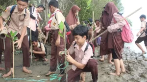 105 students from SDN Tegal Caringin planted 100 mangrove trees in Muara Ciletuh Pantai Cikadal, Desa Mandrajaya. The event was a collaboration between SDN Tegal Caringin and Pokmasi Mandrajaya. The activities included speakers, a boat ride, and a beach clean-up in Citireum. The objective was to teach environmental preservation to the students and serve as a pilot project for the P5 student profile program., Mangrove, Future-climate.online, mj dastouri, green environment,dubai, saudi, qatar, wetland, oman, riyadh, jeddah, kish, bandar lengeh,بندر لنگه,جدة,سعودية, دستوری