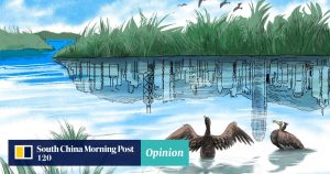 Hong Kong's wetlands are vital for flood protection, but their value has been ignored. To combat climate change and increase resilience, the planned Northern Metropolis development should prioritize a wetlands protection system. These wetlands act as natural buffers against flooding but have been disregarded. The government's focus on development rather than conservation raises concerns. Restoring and managing abandoned fish ponds as mangrove-aquaculture systems would offer multiple benefits, including flood protection and carbon sequestration. Incorporating wetlands into drainage systems and conducting research will be crucial for future wetland conservation. Working in harmony with nature is essential to achieve President Xi Jinping's ecological civilization., Mangrove, Future-climate.online, mj dastouri, green environment,dubai, saudi, qatar, wetland, oman, riyadh, jeddah, kish, bandar lengeh,بندر لنگه,جدة,سعودية, دستوری