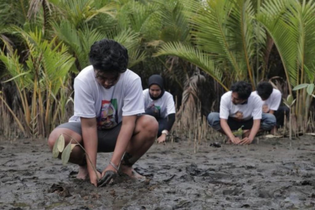 OMG volunteers in West Sumatra promote planting mangroves on Penyu Beach to protect the coast, prevent erosion, reduce global warming, and raise environmental awareness in Pariaman. Positive community response anticipates firsthand impact., Mangrove, Future-climate.online, mj dastouri, green environment,dubai, saudi, qatar, wetland, oman, riyadh, jeddah, kish, bandar lengeh,بندر لنگه,جدة,سعودية, دستوری