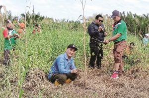 450 mangrove apple trees planted in Beaufort by Lumadan Assemblyman Office and Beaufort District Forestry Department Office to protect biodiversity. Trees planted near Weston River, Kampung Nabahan, on one hectare of land. Aims to safeguard habitats and provide sustainable food for Proboscis monkeys., Mangrove, Future-climate.online, mj dastouri, green environment,dubai, saudi, qatar, wetland, oman, riyadh, jeddah, kish, bandar lengeh,بندر لنگه,جدة,سعودية, دستوری