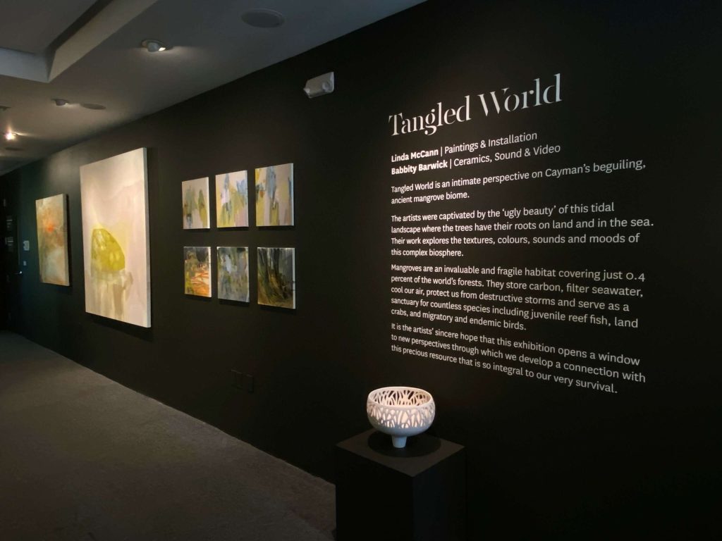 New exhibition at National Gallery of Cayman Islands called 'Tangled World' celebrates mangroves with local artists Barwick and McCann. Highlights beauty and importance of mangrove habitats in Cayman. Director Urquhart excited about working with Linda and Babbs., Mangrove, Future-climate.online, mj dastouri, green environment,dubai, saudi, qatar, wetland, oman, riyadh, jeddah, kish, bandar lengeh,بندر لنگه,جدة,سعودية, دستوری