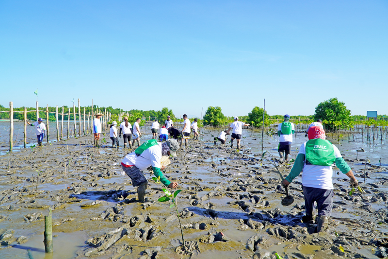 GNPower Mariveles Energy Center Ltd. Co continues mangrove adoption project.,UAE mangrove, mangrove restoration projects, protecting mangrove forests, perserving mangrove habitats, , saudi,mangrove,dastouri,mj,uae,dubai, climate, news, dastouri, mj, mjdastouri, mangrove reforestation initiatives,Istanbul, Kyiv, Bucharest, Sofia, Dubai, Abu Dhabi, Riyadh, Jeddah, Doha, Muscat, Kuwait City, Manama, Amman, Beirut, Tehran, Baghdad, Jerusalem, Damascus, Sana'a, Москва, Киев, Минск, Астана, Ташкент, Баку, Ереван, Тбилиси, Алма-Ата, Бишкек, Ашхабад, Душанбе, Кишинёв., OSCAM, OFER, Schnell, Tecmor, ofmer, دبي, أبو ظبي, الرياض, جدة, الدوحة, مسقط, مدينة الكويت, المنامة, عمان, بيروت, طهران, بغداد, القدس, دمشق, صنعاء,mangrove fauna and flora,saudi arabia,