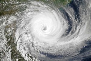 Coastal communities face heightened cyclone risk due to declining protective natural ecosystems. Cyclone Idai in 2019 caused significant damage and loss of life. Future storms may be stronger, but the relationship between communities and ecosystems is not fully understood. ETH Zurich researchers found 67 million people are currently at risk, with China having the most. By 2050, the number at risk may increase by 40% to nearly 94 million. Coastal habitats like mangroves and reefs provide protection but are being destroyed, leaving more vulnerable. Preserving existing habitats and restoring lost ones are vital for better cyclone protection. The study highlights key regions for protection and restoration initiatives., Mangrove, Future-climate.online, mj dastouri, green environment,dubai, saudi, qatar, wetland, oman, riyadh, jeddah, kish, bandar lengeh,بندر لنگه,جدة,سعودية, دستوری