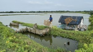 Shrimp production in important state of West Bengal.,UAE mangrove, mangrove restoration projects, protecting mangrove forests, perserving mangrove habitats, , saudi,mangrove,dastouri,mj,uae,dubai, climate, news, dastouri, mj, mjdastouri, mangrove reforestation initiatives,Istanbul, Kyiv, Bucharest, Sofia, Dubai, Abu Dhabi, Riyadh, Jeddah, Doha, Muscat, Kuwait City, Manama, Amman, Beirut, Tehran, Baghdad, Jerusalem, Damascus, Sana'a, Москва, Киев, Минск, Астана, Ташкент, Баку, Ереван, Тбилиси, Алма-Ата, Бишкек, Ашхабад, Душанбе, Кишинёв., OSCAM, OFER, Schnell, Tecmor, ofmer, دبي, أبو ظبي, الرياض, جدة, الدوحة, مسقط, مدينة الكويت, المنامة, عمان, بيروت, طهران, بغداد, القدس, دمشق, صنعاء,mangrove fauna and flora,saudi arabia,