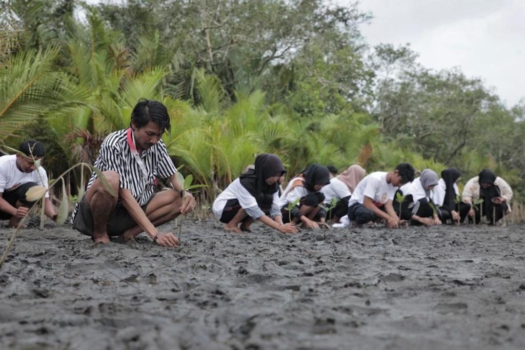 Citizens of Pariaman enthusiastically participated in a mangrove planting event organized by OMG volunteers in West Sumatra. They believe it will improve the ecosystem. Inspired by Ganjar Pranowo, the volunteers joined forces with residents to create a sustainable ecosystem., Mangrove, Future-climate.online, mj dastouri, green environment,dubai, saudi, qatar, wetland, oman, riyadh, jeddah, kish, bandar lengeh,بندر لنگه,جدة,سعودية, دستوری