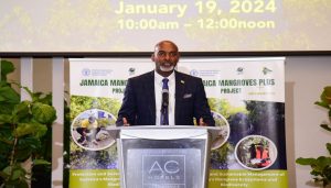 Jamaica strengthens mangrove ecosystem through a four-year project.,UAE mangrove, mangrove restoration projects, protecting mangrove forests, perserving mangrove habitats, , saudi,mangrove,dastouri,mj,uae,dubai, climate, news, dastouri, mj, mjdastouri, mangrove reforestation initiatives,Istanbul, Kyiv, Bucharest, Sofia, Dubai, Abu Dhabi, Riyadh, Jeddah, Doha, Muscat, Kuwait City, Manama, Amman, Beirut, Tehran, Baghdad, Jerusalem, Damascus, Sana'a, Москва, Киев, Минск, Астана, Ташкент, Баку, Ереван, Тбилиси, Алма-Ата, Бишкек, Ашхабад, Душанбе, Кишинёв., OSCAM, OFER, Schnell, Tecmor, ofmer, دبي, أبو ظبي, الرياض, جدة, الدوحة, مسقط, مدينة الكويت, المنامة, عمان, بيروت, طهران, بغداد, القدس, دمشق, صنعاء,mangrove fauna and flora,saudi arabia,