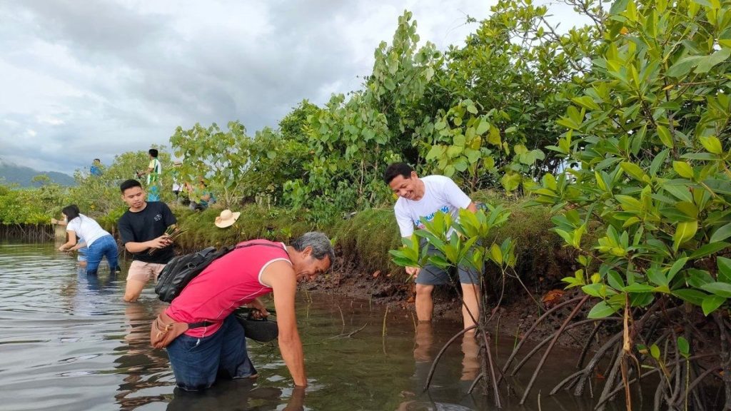 PENRO Negros Occidental celebrated World Wetlands Day early by hanging tarpaulins, planting 500 mangrove propagules, and collecting 18 sacks of garbage, mostly single-use plastics. They promote clean wetlands and emphasize the importance of environmental conservation. Collaboration is key in resolving environmental disputes. Let's love and care for our environment., Mangrove, wetland, UAE,Indonesia, Future-climate.online, mj dastouri, green environment,dubai, saudi, qatar, wetland, oman, riyadh, jeddah, kish, bandar lengeh,بندر لنگه,جدة,سعودية, دستوری, Kish,Qeshm,Mahoor,حراء,گیاه