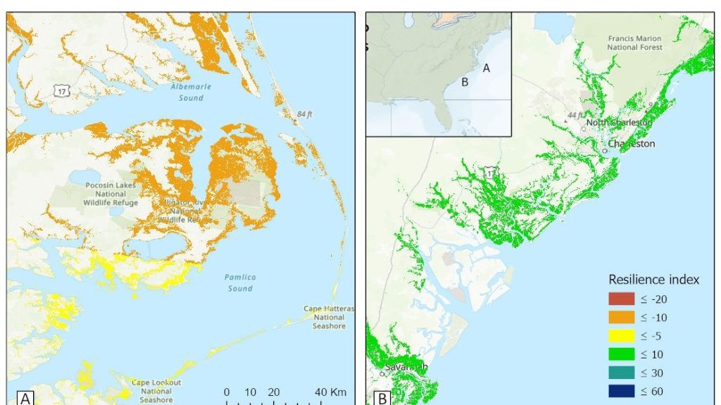 Satellite imagery shows loss and formation of global tidal wetlands. Satellite laser altimetry tracks climate variables and sea level changes. Mangroves are affected by sea level rise and human impact. Satellite imagery identifies forest loss. Urgent preservation and restoration efforts needed., Mangrove, wetland, UAE,Indonesia, Future-climate.online, mj dastouri, green environment,dubai, saudi, qatar, wetland, oman, riyadh, jeddah, kish, bandar lengeh,بندر لنگه,جدة,سعودية, دستوری, Kish,Qeshm,Mahoor,حراء,گیاه