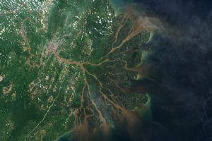 Mahakam River in Borneo flows through dense jungles to reach Makassar Strait. The delta, once filled with palms and mangroves, now has half converted into shrimp farms. Landsat 9 captured an image on April 26, 2022, revealing sediment buildup causing split channels. 55% of the delta has been converted to shrimp ponds, negatively impacting vital carbon sinks and coastline protection. To address this, experts suggest combining mangrove trees with shrimp ponds, known as silvo-aquaculture, to balance food production and environmental benefits., Mangrove, wetland, UAE,Indonesia, Future-climate.online, mj dastouri, green environment,dubai, saudi, qatar, wetland, oman, riyadh, jeddah, kish, bandar lengeh,بندر لنگه,جدة,سعودية, دستوری, Kish,Qeshm,Mahoor,حراء,گیاه