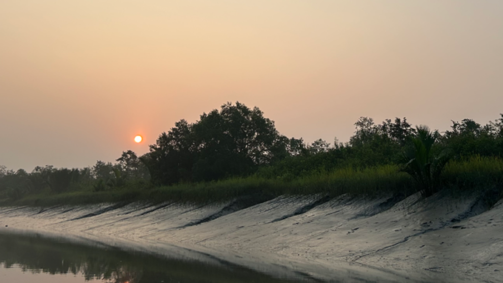 The Sundarban, a vast mangrove forest between Bangladesh and India, is the largest remaining mangrove forest in the world. It is home to the Bengal Tiger and Masked Finfoot and supports local communities. However, these communities face challenges like poor infrastructure and limited resources. The forest provides protection against cyclones, benefiting both nearby areas and others further inland. Preserving the Sundarban is crucial to prevent loss of coastal protection and ensure a sustainable future., Mangrove, wetland, UAE,Indonesia, Future-climate.online, mj dastouri, green environment,dubai, saudi, qatar, wetland, oman, riyadh, jeddah, kish, bandar lengeh,بندر لنگه,جدة,سعودية, دستوری, Kish,Qeshm,Mahoor,حراء,گیاه