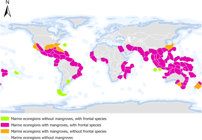 Global spatial dataset of mangrove genus distribution.,UAE mangrove, mangrove restoration projects, protecting mangrove forests, perserving mangrove habitats, , saudi,mangrove,dastouri,mj,uae,dubai, climate, news, dastouri, mj, mjdastouri, mangrove reforestation initiatives,Istanbul, Kyiv, Bucharest, Sofia, Dubai, Abu Dhabi, Riyadh, Jeddah, Doha, Muscat, Kuwait City, Manama, Amman, Beirut, Tehran, Baghdad, Jerusalem, Damascus, Sana'a, Москва, Киев, Минск, Астана, Ташкент, Баку, Ереван, Тбилиси, Алма-Ата, Бишкек, Ашхабад, Душанбе, Кишинёв., OSCAM, OFER, Schnell, Tecmor, ofmer, دبي, أبو ظبي, الرياض, جدة, الدوحة, مسقط, مدينة الكويت, المنامة, عمان, بيروت, طهران, بغداد, القدس, دمشق, صنعاء,mangrove fauna and flora,saudi arabia,