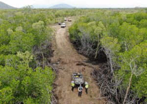 Townsville man fined $145,000 for clearing wetlands.,UAE mangrove, mangrove restoration projects, protecting mangrove forests, perserving mangrove habitats, , saudi,mangrove,dastouri,mj,uae,dubai, climate, news, dastouri, mj, mjdastouri, mangrove reforestation initiatives,Istanbul, Kyiv, Bucharest, Sofia, Dubai, Abu Dhabi, Riyadh, Jeddah, Doha, Muscat, Kuwait City, Manama, Amman, Beirut, Tehran, Baghdad, Jerusalem, Damascus, Sana'a, Москва, Киев, Минск, Астана, Ташкент, Баку, Ереван, Тбилиси, Алма-Ата, Бишкек, Ашхабад, Душанбе, Кишинёв., OSCAM, OFER, Schnell, Tecmor, ofmer, دبي, أبو ظبي, الرياض, جدة, الدوحة, مسقط, مدينة الكويت, المنامة, عمان, بيروت, طهران, بغداد, القدس, دمشق, صنعاء,mangrove fauna and flora,saudi arabia,