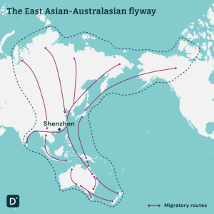 ,tfico, steel blades, california, atlanta, georgia, Maharashtra, ,Shenzhen-Bay-is-a-crucial-stop-off-point-for-migratory-birds-using-the-East-Asian-Australasian-flyway.-Graphic-by-Harry-Zhang-/-Dialogue-Earth, Andhra Pradesh, Hyderabad, Baden-Wurttemberg, St Louis, Missouri, industrial knives uae, dubai machine blades, Belarus Knives, Belarus steel blades, Sharjah Industrial Knives